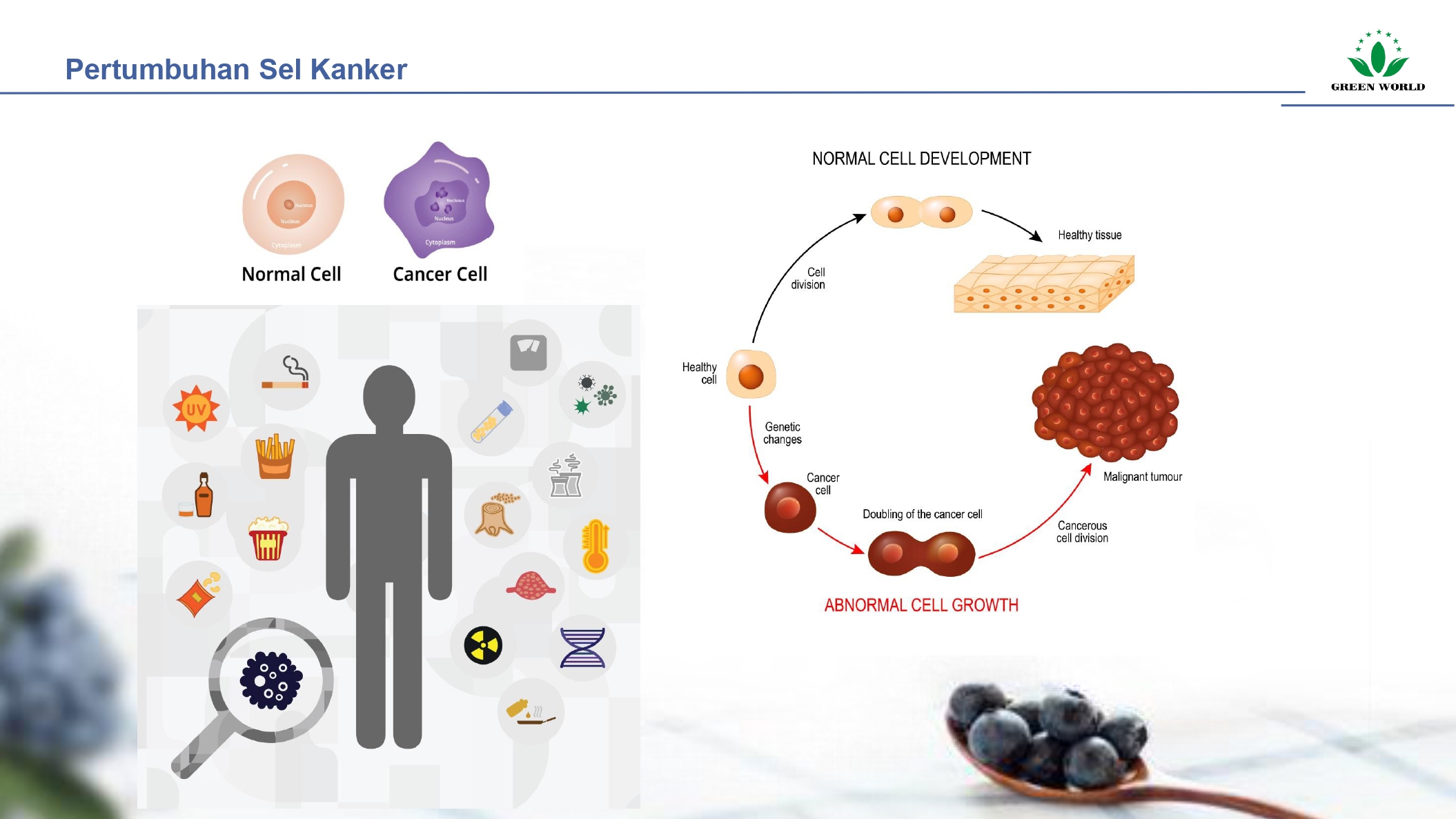 Education content image